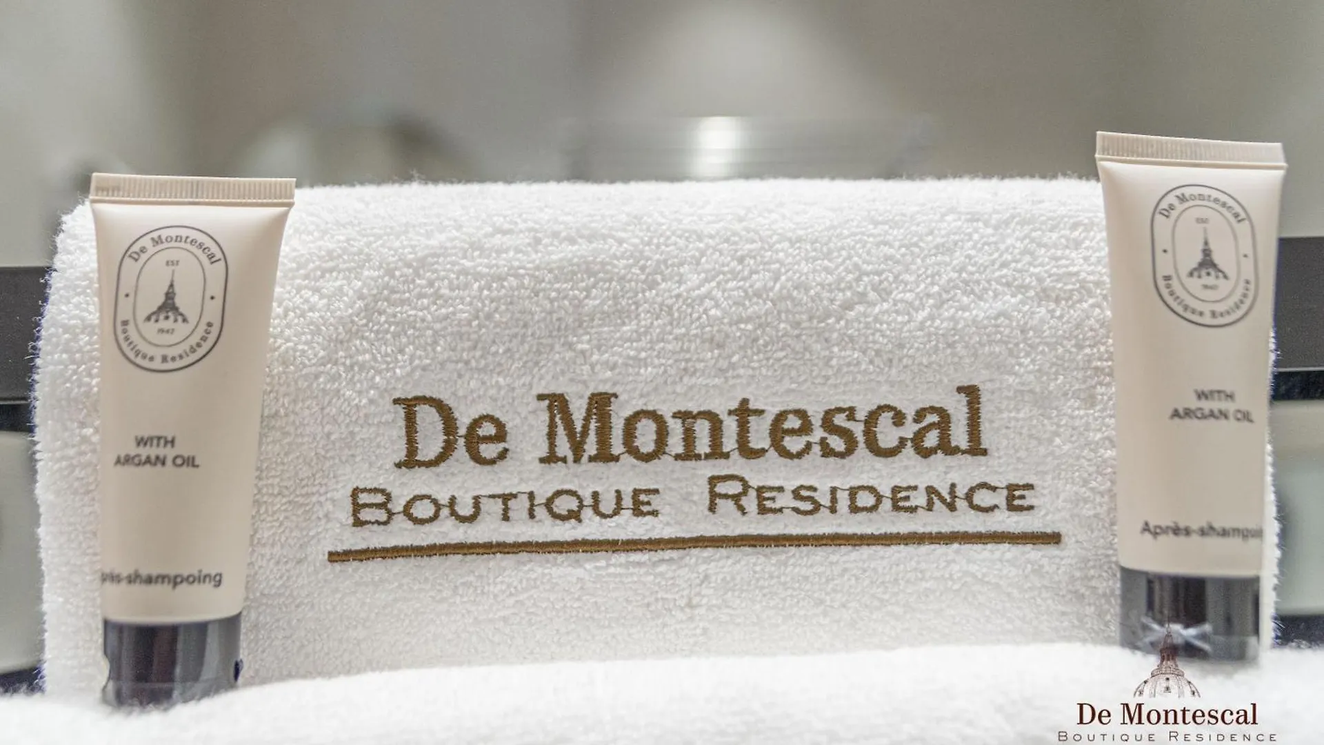 De Montescal Montparnasse Ac In A Prime Location 22 -36m2